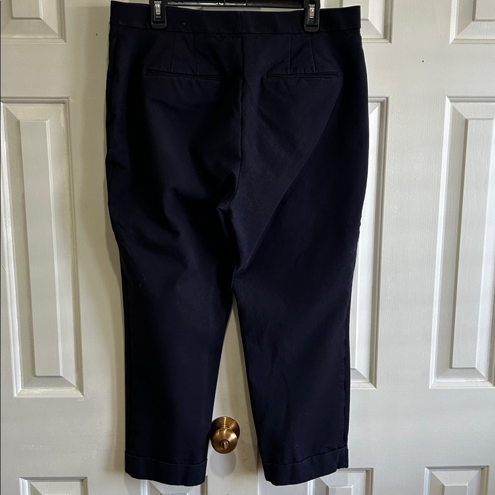 Ann Taylor Curvy Fit Cropped Navy Pants - Picture 2 of 8